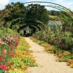 Giverny Half-Day Guided Tour from Paris - A Closer Look at the Tour Itinerary