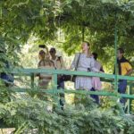 Giverny Monet's Gardens Entrance Ticket with Transport from Paris - The Water Lily Pond and Japanese Bridge