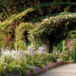 Giverny: Monet's House & Gardens Private Guided Walking Tour - The Itinerary Breakdown