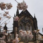 Glasgow Private Self-Guided Tour - Who Will Love This Tour?
