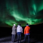 Golden Circle and Northern Lights Combo Small Group Tour - Real traveler insights