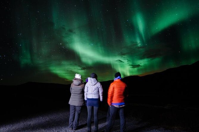 Golden Circle and Northern Lights Combo Small Group Tour - Real traveler insights
