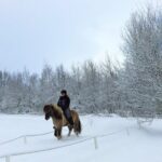 Golden Circle, Fridheimar Farm & Horses Small Group Tour from Reykjavik - Who Will Love This Tour?