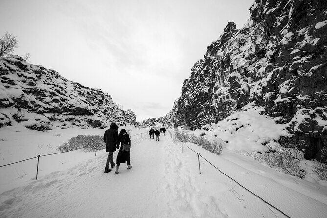 Golden Circle, Northern Lights and Blue Lagoon Tour with Ticket - What Travelers Say