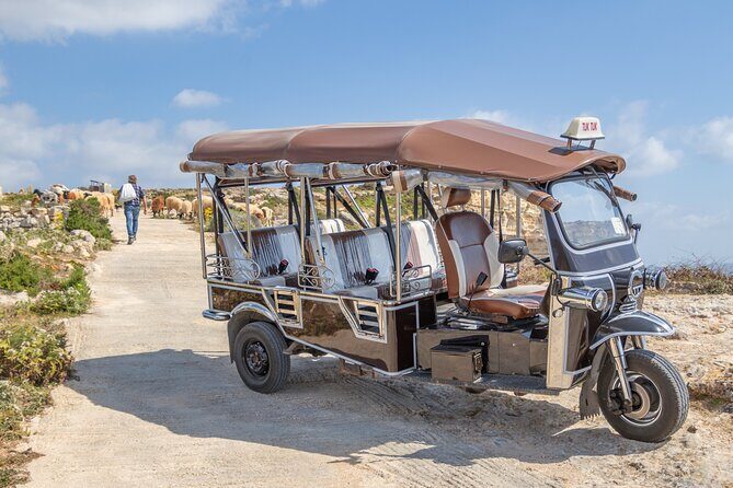 Gozo All Inclusive Chauffeured Tuk Tuk Day Tour - Blue Lagoon - Transport, Duration, and Value