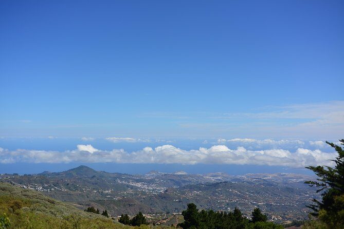 Gran Canaria Peaks Full-Day Tour from Las Palmas - The Real Experience: What Do Travelers Say?