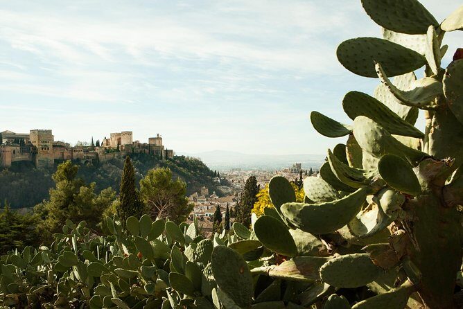 Granada: Sacromonte Private Tour - The Experience: What Makes It Special