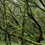 Grand Tour Tenerife - Full-Day Private VIP Tour - Final Thoughts: Is It Worth It?