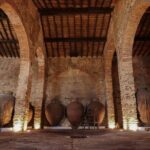 Grande Prova Honrado Vineyards - Who Will Love This Tour?