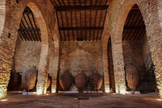 Grande Prova Honrado Vineyards - Who Will Love This Tour?