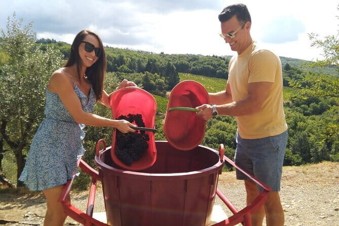 Grape Stomping and Wine Tasting in Tuscany - How the Experience Flows