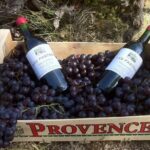 Grape Stomping in Provence - How the Group Works and Practical Details