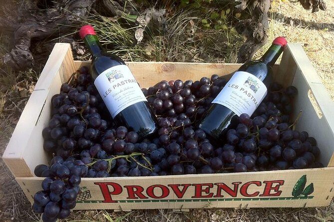 Grape Stomping in Provence - How the Group Works and Practical Details