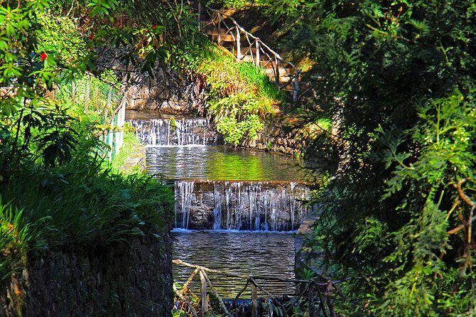 Green Cauldron - Final Thoughts: Is the Green Cauldron Tour Worth It?