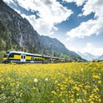 Grindelwald First - Top of Adventure from Lucerne - Detailed Itinerary Breakdown