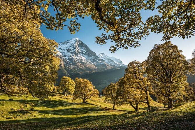Grindelwald, Interlaken and Lauterbrunnen Day Trip from Lucerne - Transportation and Comfort