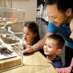 Gruyères Trip With Cheese and Chocolate Factory Visit from Geneva - Who Is This Tour Best For?