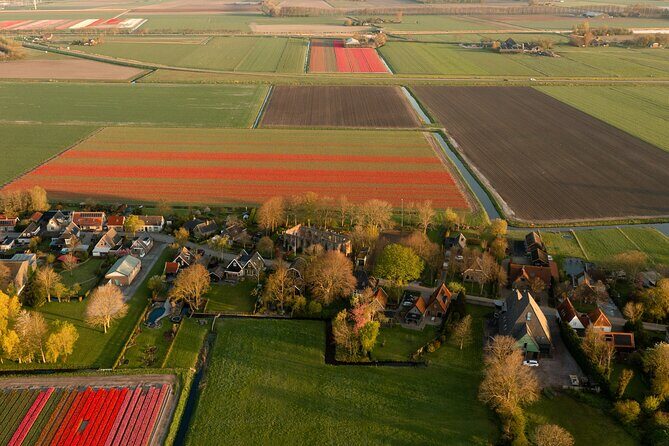 Guided Bike Tour along the Dutch Tulip Fields in Noord Holland - Practical Details