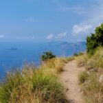 Guided Day Hike on the Path of the Gods with Sorrento Transfer - The Value of This Experience