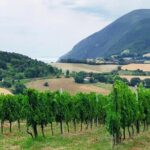 Guided E-Bike tour with food and wine tasting. - What We Loved and What to Keep in Mind