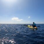 Guided Kayak Tour From Los Cristianos Beach Tenerife - The Practical Side: Price, Duration, and Booking