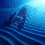 Guided Kayaking and Snorkeling Tour to Green Cave and Sipan Island from Lopud - What’s Included and What You Should Consider