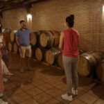 Guided Madrid Countryside Wine Tasting & Winery Tour - Who Should Consider This Tour?