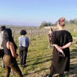 Guided Premium Tour in Lugana DOC - 5 wines from Perla del Garda - Final Thoughts