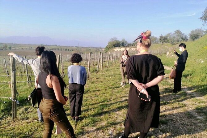 Guided Premium Tour in Lugana DOC - 5 wines from Perla del Garda - Final Thoughts