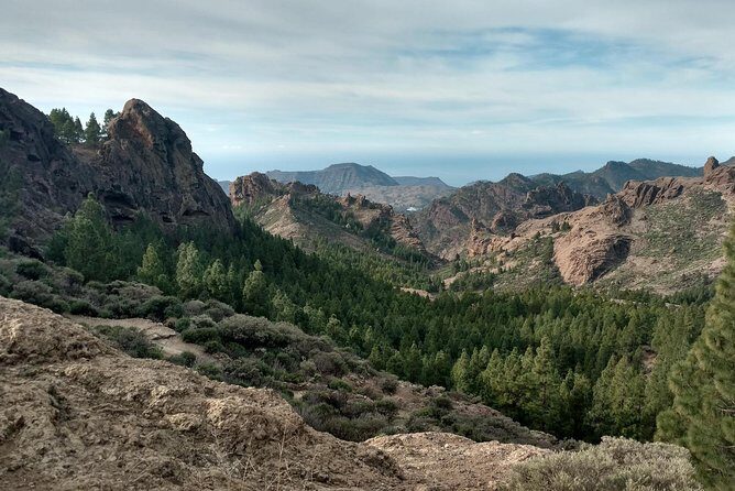 Guided tour: Discover Gran Canaria - The Experience We’re Getting from This Tour