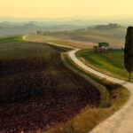 Guided tour in wonderful Tuscany - What’s Included and What’s Not