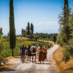 Guided tour of the cellars with wine tasting and lunch - FAQs About the Siena Wine & Cellar Tour