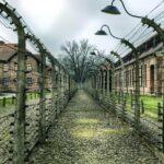 Guided Tour to Auschwitz-Birkenau from Warsaw - Price and Value for Money