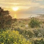 Guided Tour to Cape Greko from Larnaca - Why This Tour Works Well