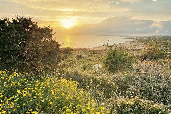 Guided Tour to Cape Greko from Larnaca - Why This Tour Works Well