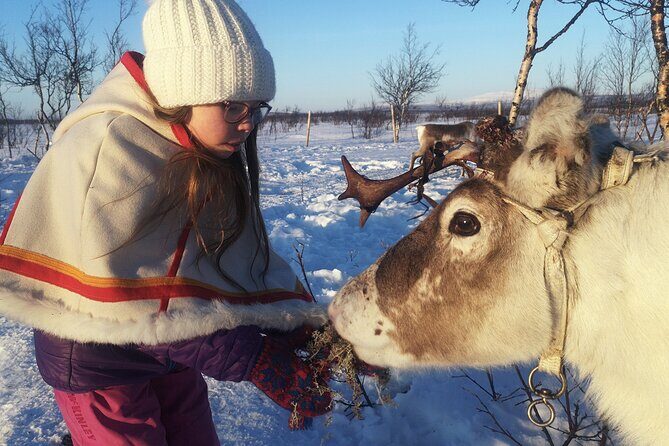 Guided Tour to Icehotel and Jukkasjärvi - A Closer Look at the Tour Itinerary