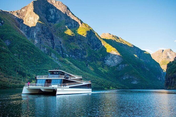 Guided Tour To Nærøyfjorden, Flåm And Stegastein - Viewpoint Cruise - What Makes This Tour Stand Out?