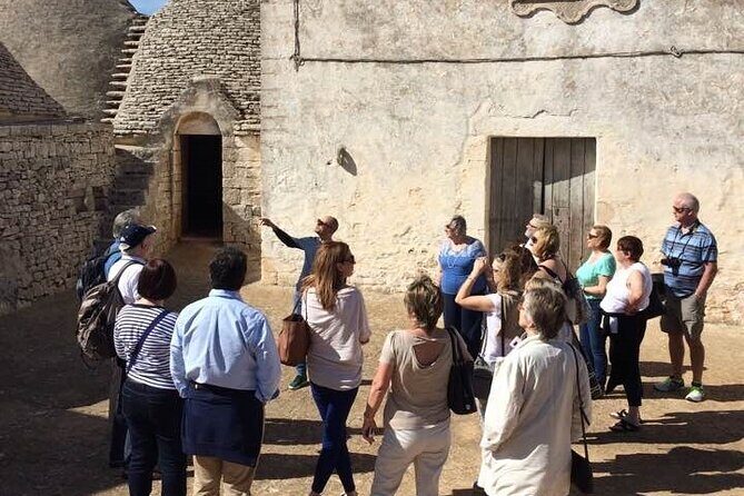 Guided Visit to the Vineyard with Wine Tasting - The Realities and Review Highlights