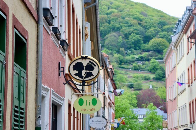 Guided Walking Tour in Heidelberg - Who Will Love This Tour?
