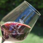 Guided Wine and Olive oil tasting - Practical Tips & Considerations