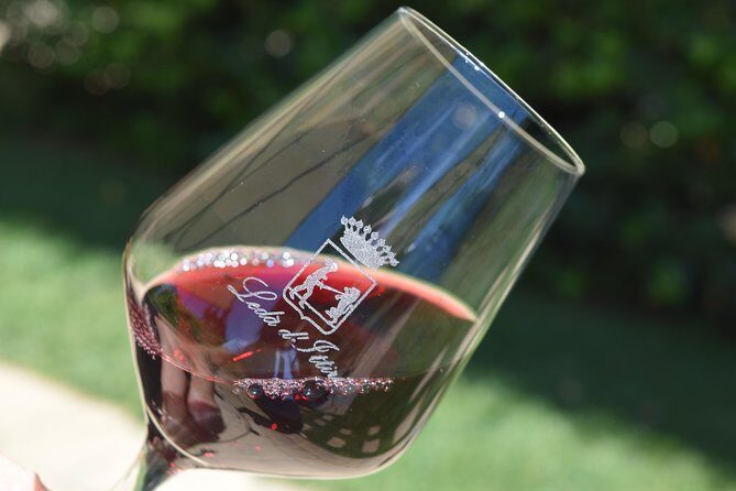 Guided Wine and Olive oil tasting - Practical Tips & Considerations