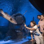 Half Day Antalya Aquarium Tour And Wax Museum - A Closer Look at the Itinerary and What to Expect