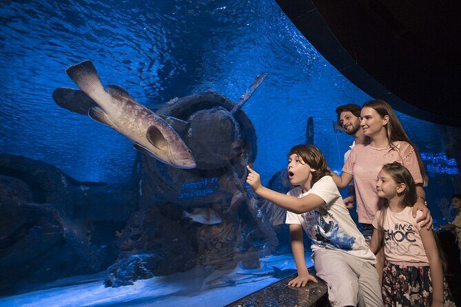 Half Day Antalya Aquarium Tour And Wax Museum - A Closer Look at the Itinerary and What to Expect