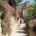 Half-Day Baux de Provence and Luberon Tour from Avignon - The Practical Side: How It Works