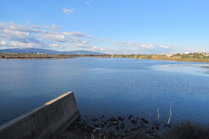 Half-day birdwatching at the Abicada marshed - FAQ