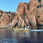 Half Day Boat Trip to Scandola Calanche de Piana - Authentic Feedback & Insights from Travelers