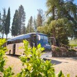 Half-day Experience to San Gimignano Hills with Picnic and Wine - The Practical Details