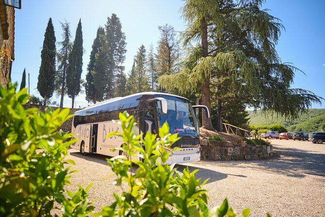 Half-day Experience to San Gimignano Hills with Picnic and Wine - The Practical Details