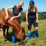 Half-Day Farm Visit and Cow Milking Experience - The Logistics: How It Works