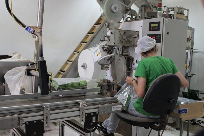 Half Day Furnas And Hot Springs - Exploring the Itinerary in Detail